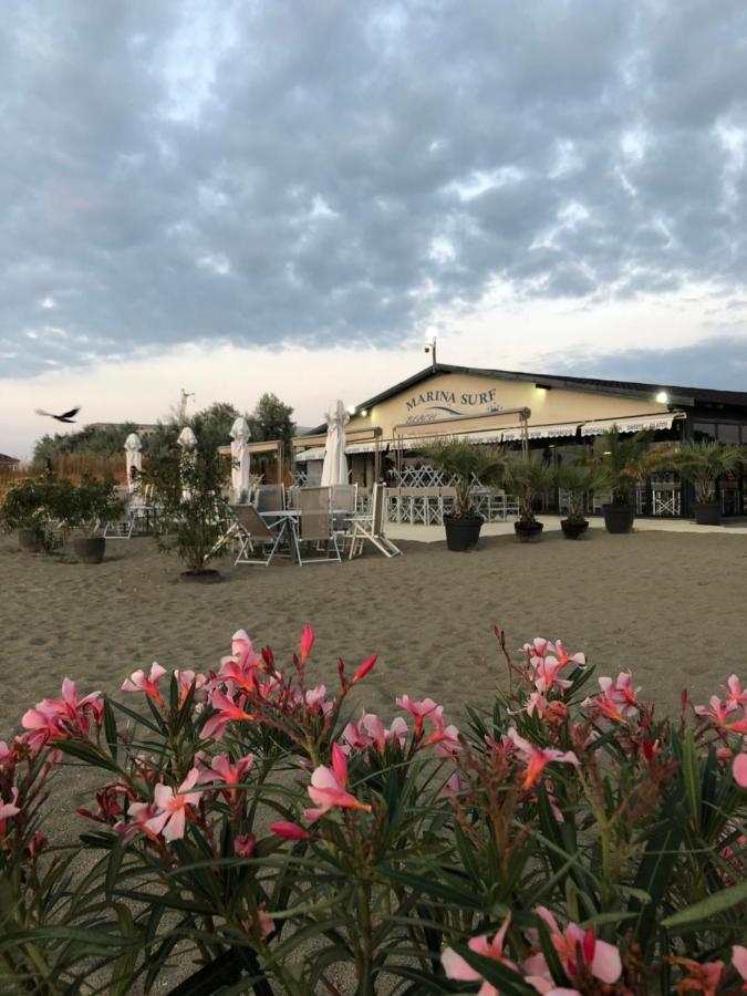 Hotel Marina Surf Năvodari Exteriér fotografie