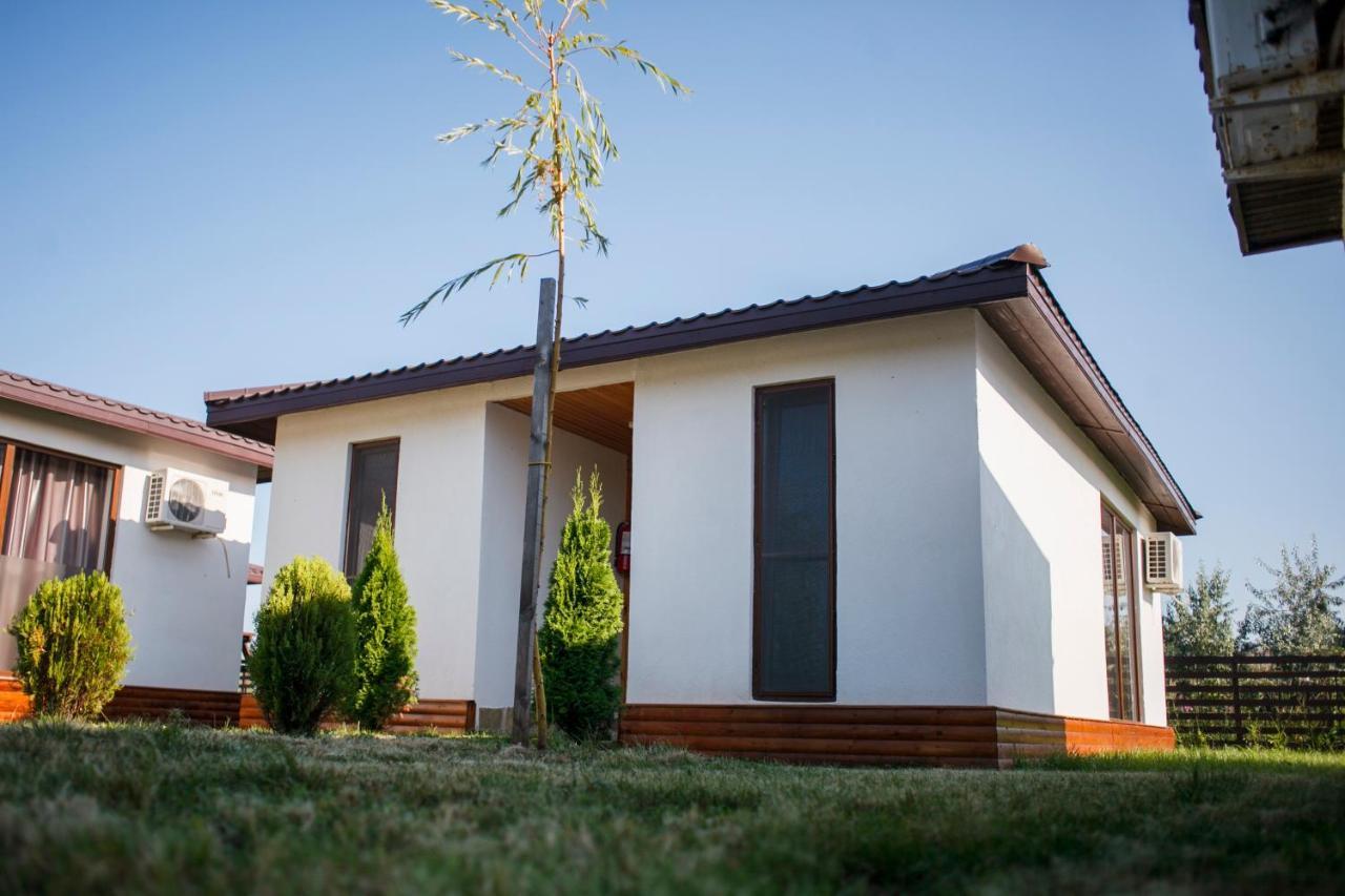 Hotel Marina Surf Năvodari Exteriér fotografie