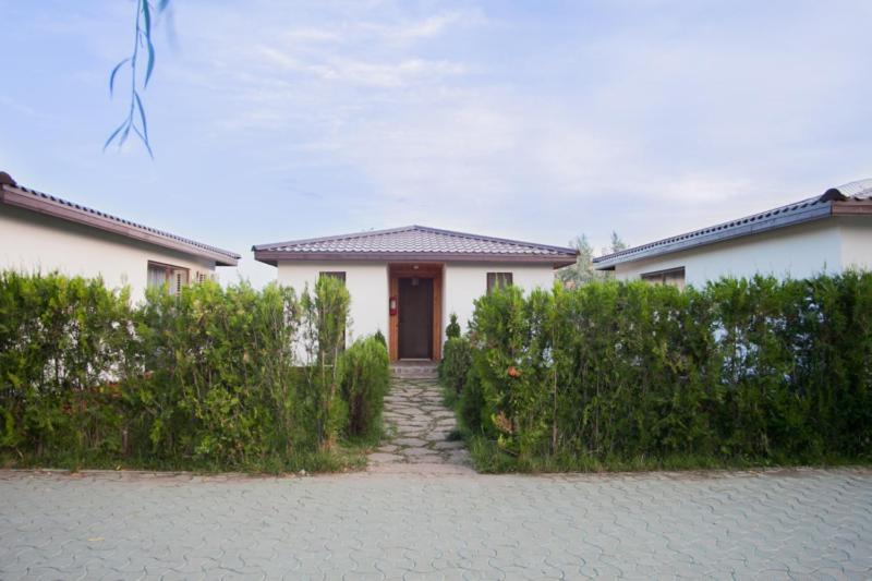 Hotel Marina Surf Năvodari Exteriér fotografie